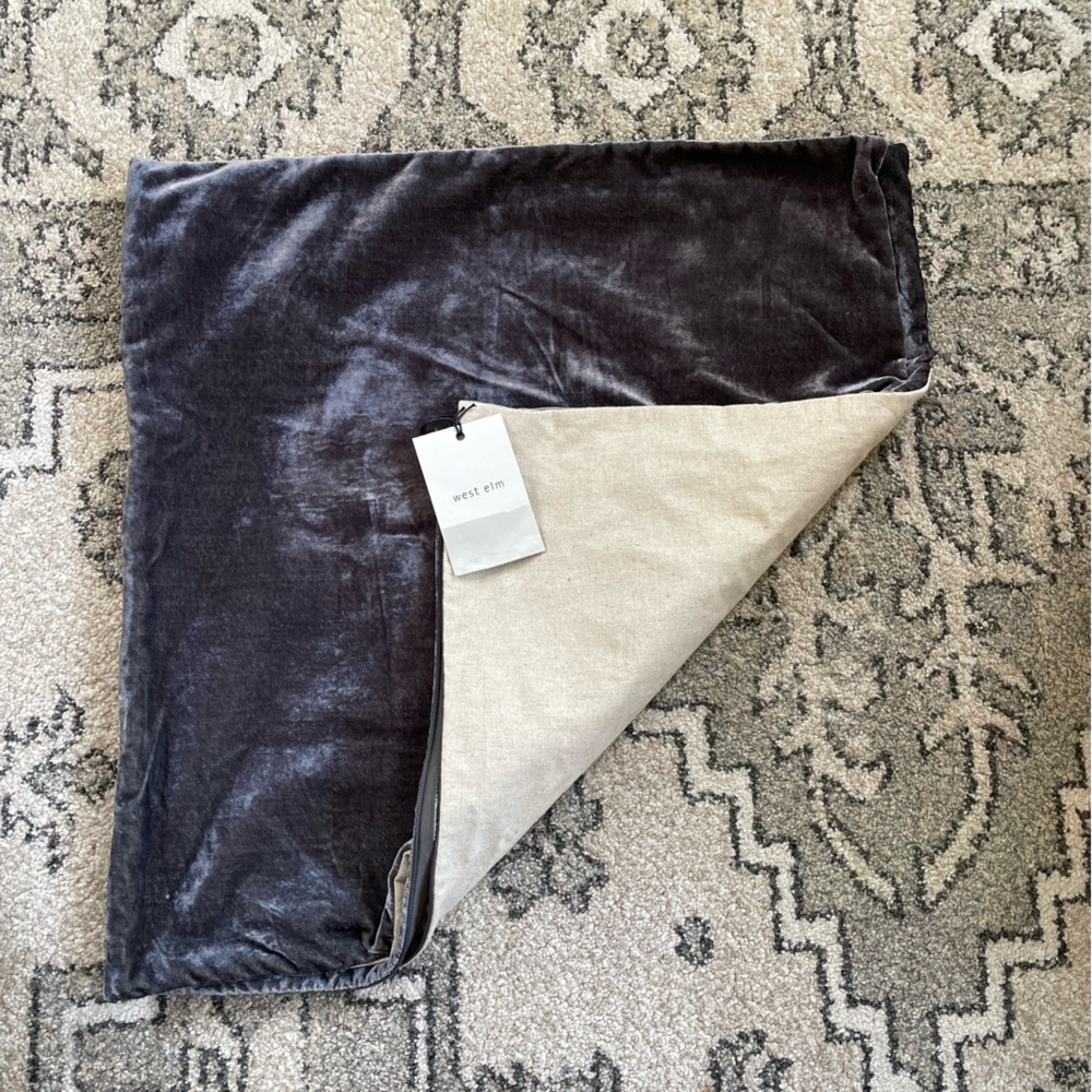 West Elm Velvet Pillow Covers (2)